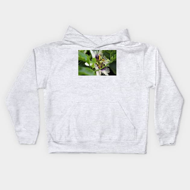 Passion Flower Closeup Kids Hoodie by ButterflyInTheAttic